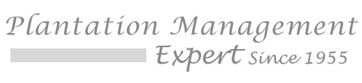 expert